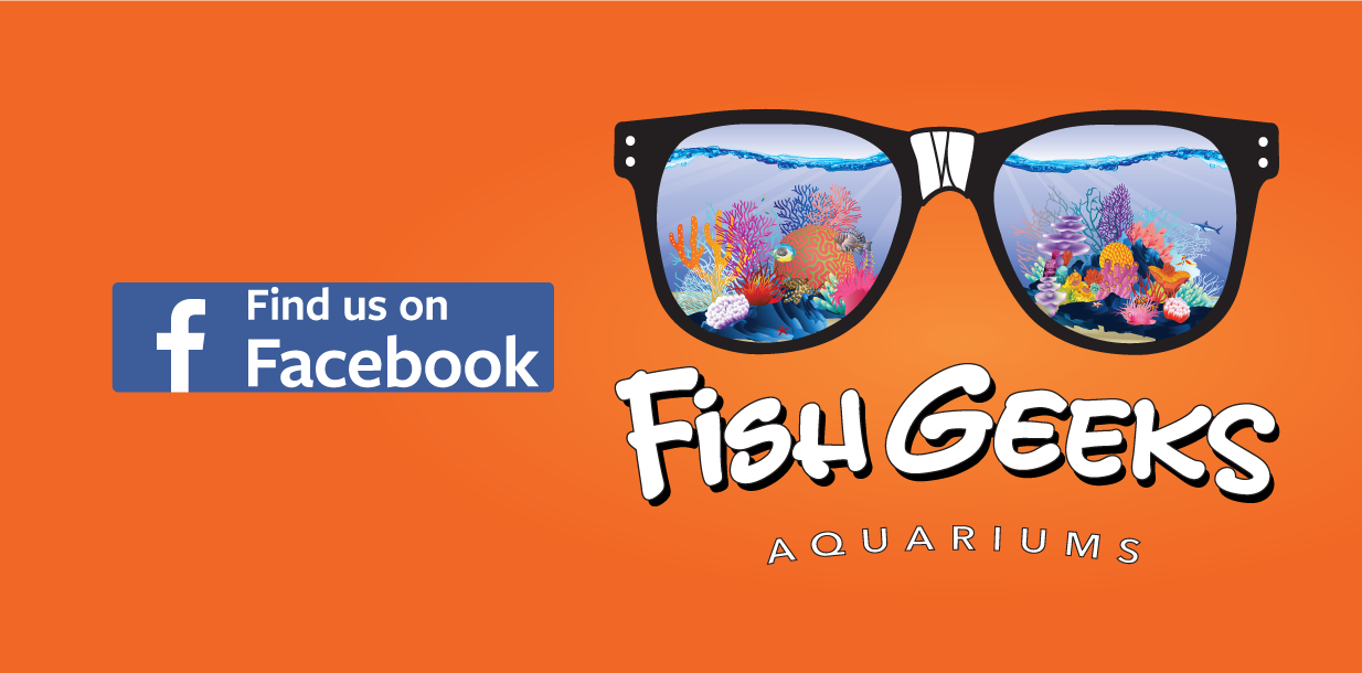 fish geeks