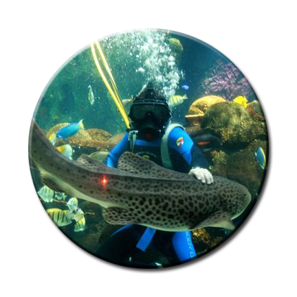 Fish Geeks Aquarium Maintenance Service