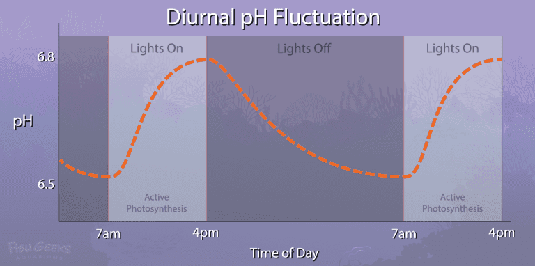 pH CO2 fluctuation day and night